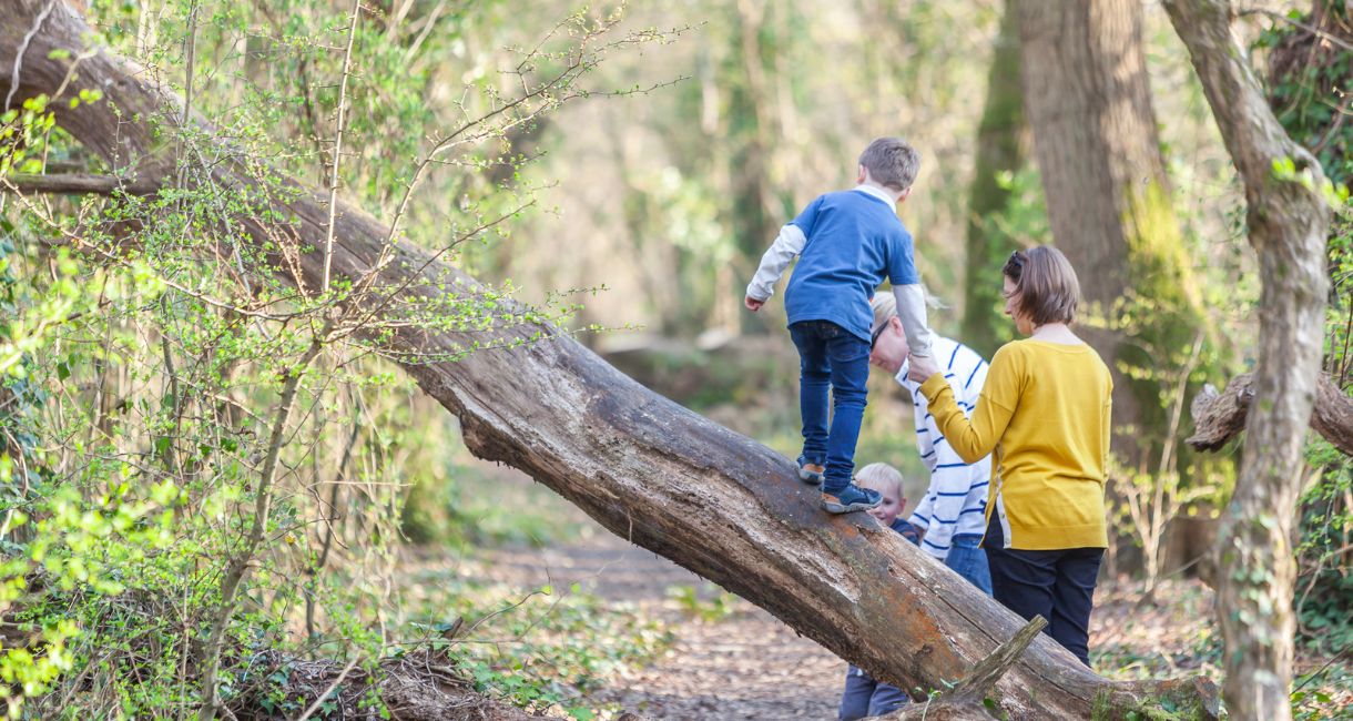 Family walking in the woods, Isle of Wight